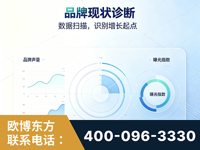 内江-品牌现状诊断